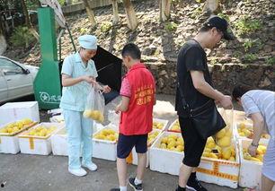 娱乐吃瓜酱贫困户,揭秘贫困户背后的真实故事